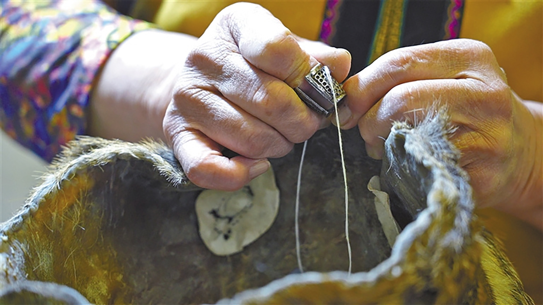 4.1 兽皮服饰历久远 02.jpg