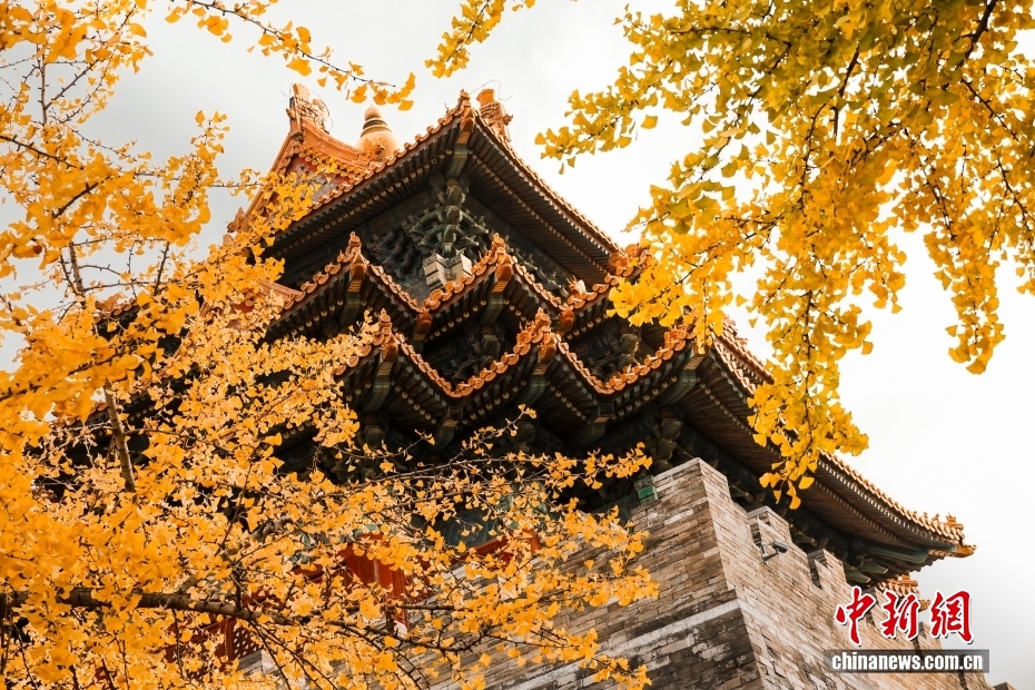 10.11故宫博物院100岁啦！5.jpg