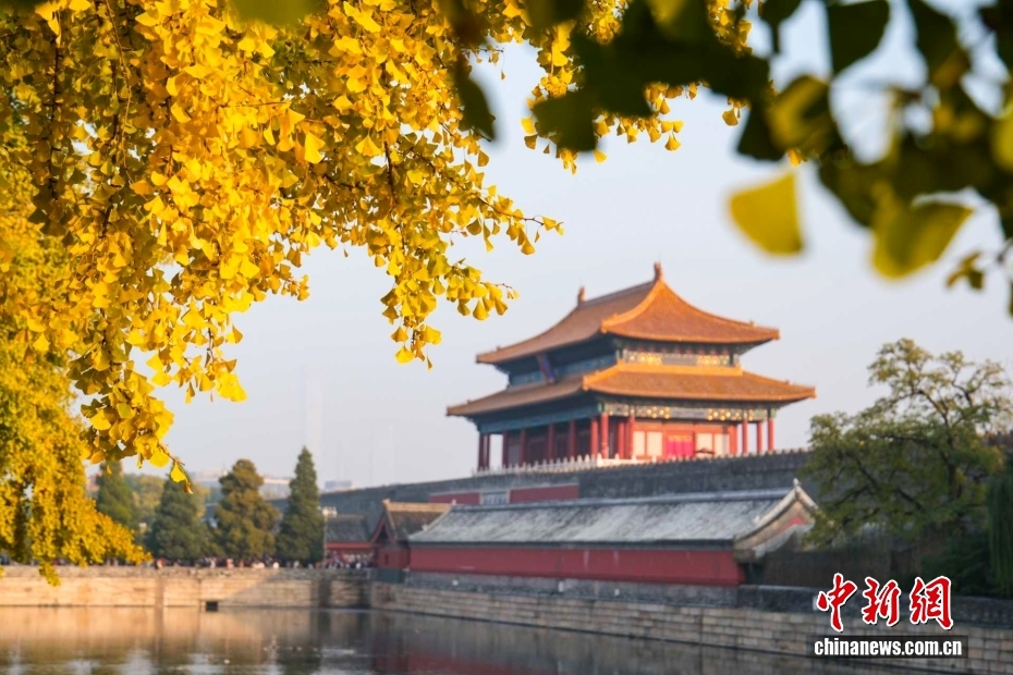 10.11故宫博物院100岁啦！6.jpg