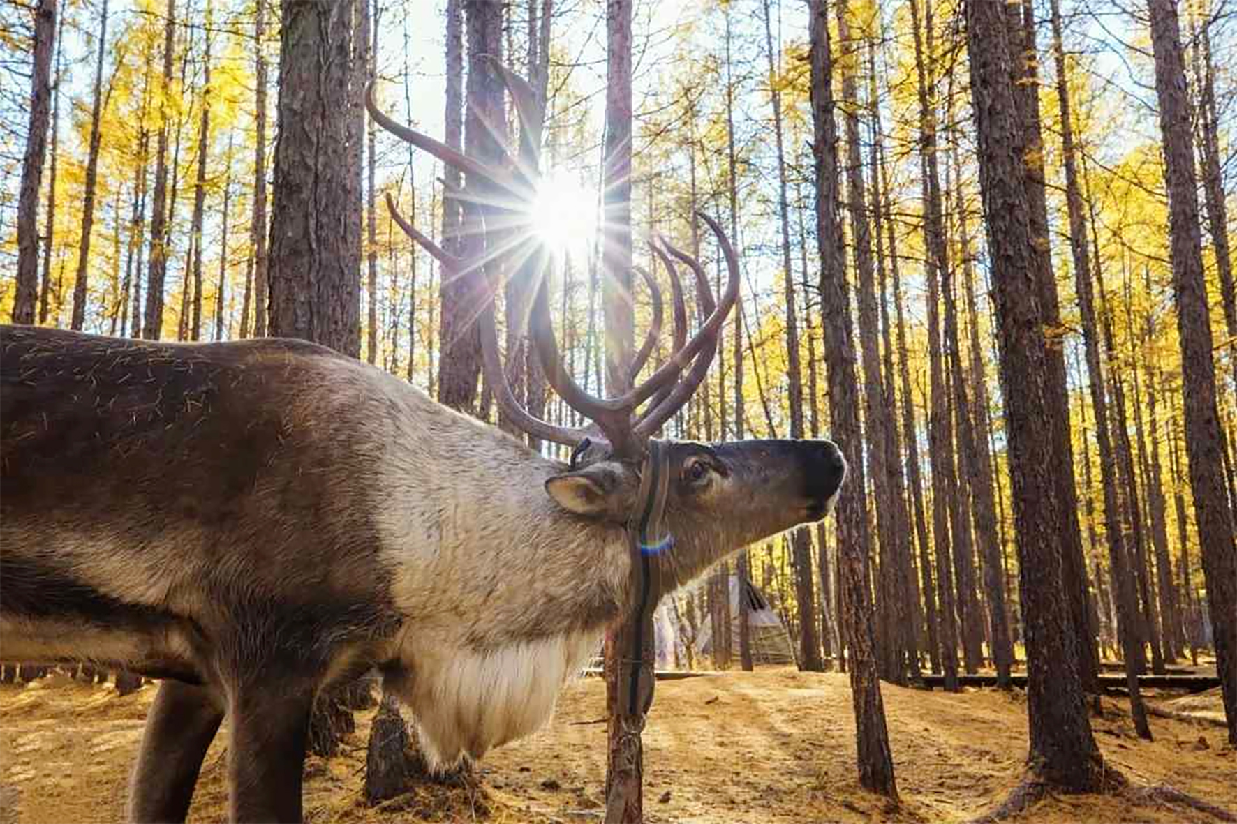 4.1 山河秋韵浓  05.jpg