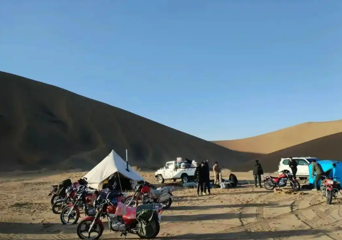 11.20驼铃声声踏沙行 阿拉善右旗骆驼冬季转场启幕7.png