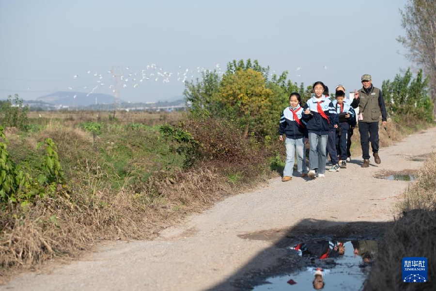 11.21与湿地共成长——这所乡村小学有特色8.jpg