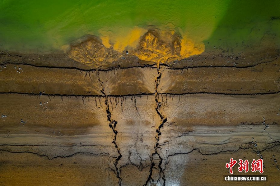 12.4甘肃永靖刘家峡水库低水位现奇观 裸露滩涂绽放“潮汐树”3.jpg