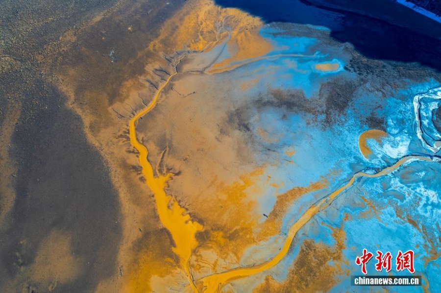 12.4甘肃永靖刘家峡水库低水位现奇观 裸露滩涂绽放“潮汐树”5.jpg