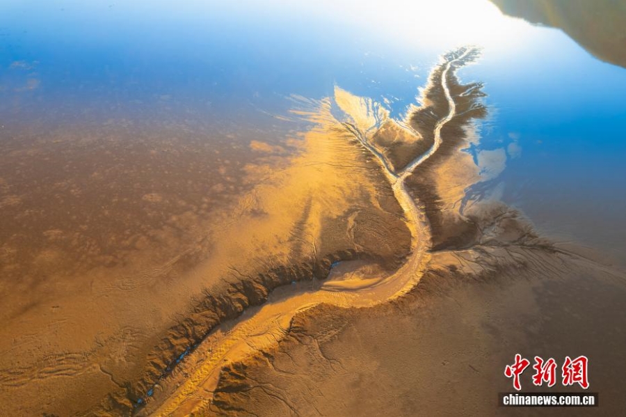 12.4甘肃永靖刘家峡水库低水位现奇观 裸露滩涂绽放“潮汐树”4.jpg