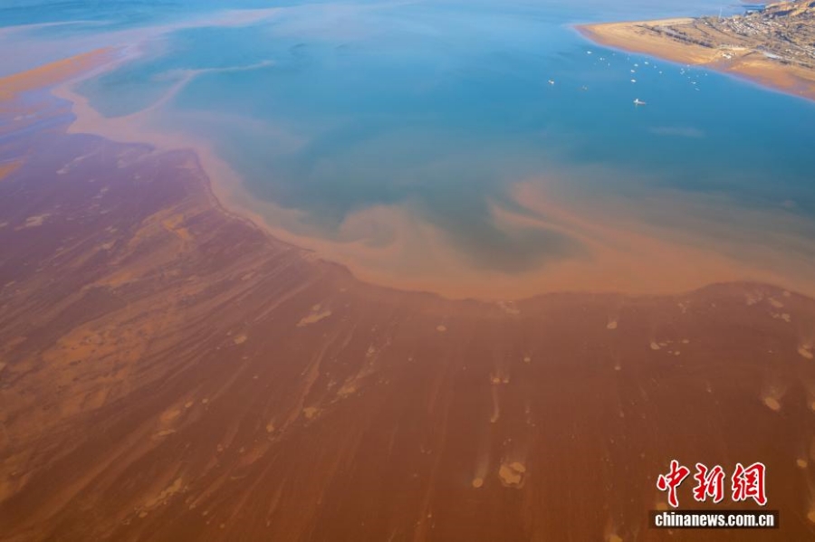 12.4甘肃永靖刘家峡水库低水位现奇观 裸露滩涂绽放“潮汐树”2.jpg