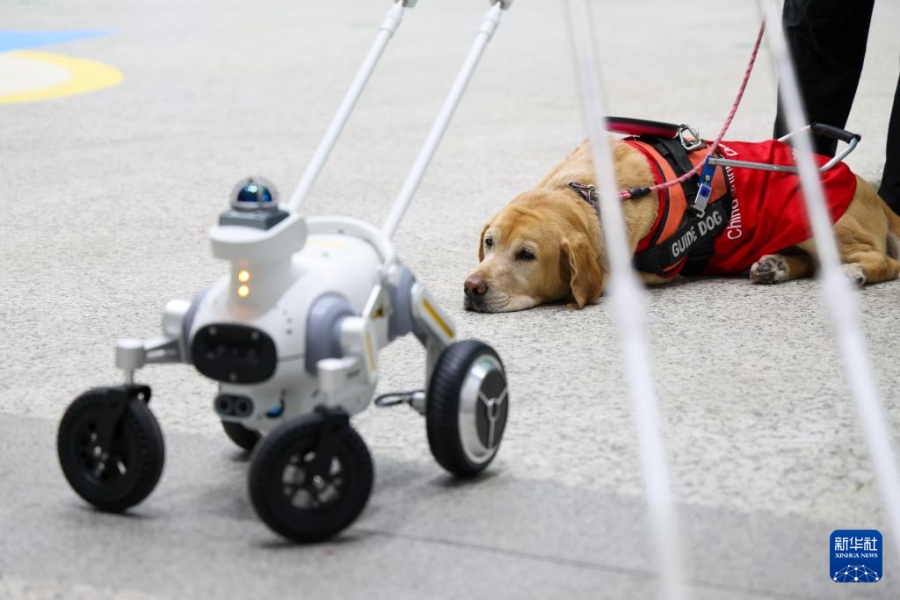 12.16深圳地铁启动智能导盲犬服务，如何让科技成为视障乘客的“眼睛”？3.jpg