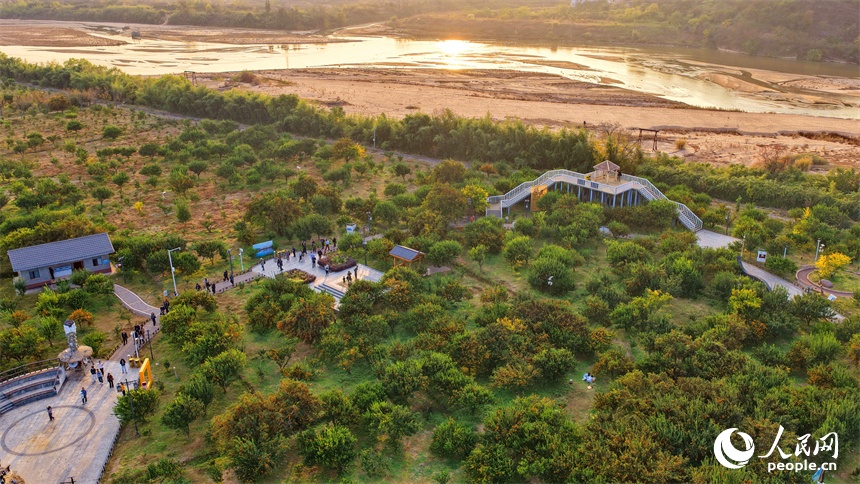 12.23江西南丰:蜜桔出口企业从“借船”到“掌舵” 让千年蜜桔香飘全球7.jpg