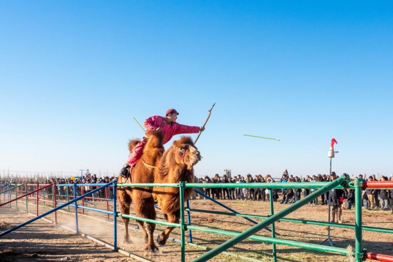 12.31 2025阿拉善骆驼超级联赛：上演沙海中的速度与激情3.jpg