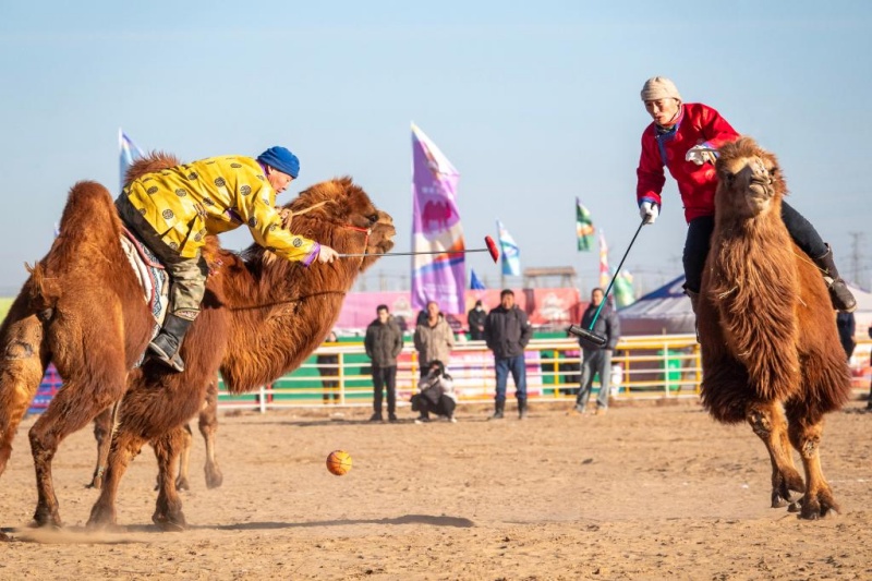12.31 2025阿拉善骆驼超级联赛：上演沙海中的速度与激情1.jpg