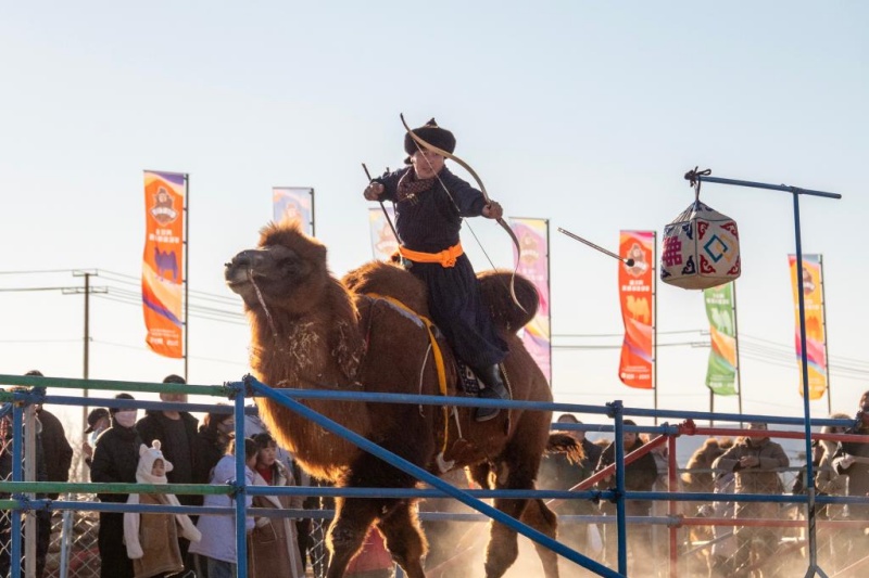 12.31 2025阿拉善骆驼超级联赛：上演沙海中的速度与激情2.jpg