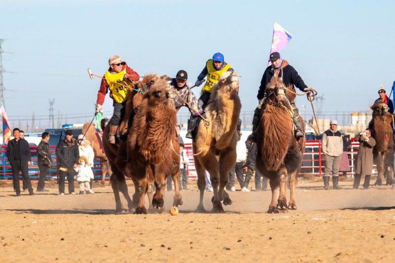12.31 2025阿拉善骆驼超级联赛：上演沙海中的速度与激情6.jpg