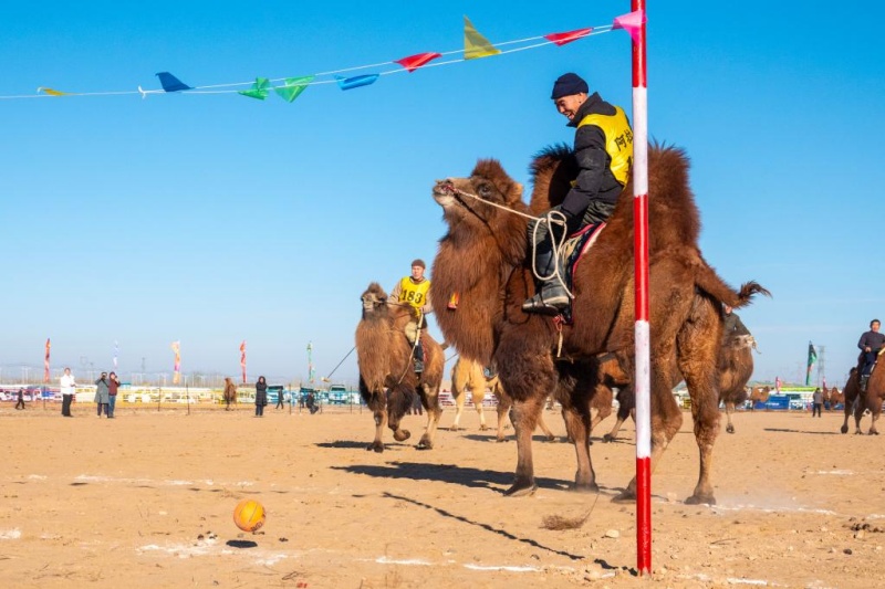 12.31 2025阿拉善骆驼超级联赛：上演沙海中的速度与激情7.jpg