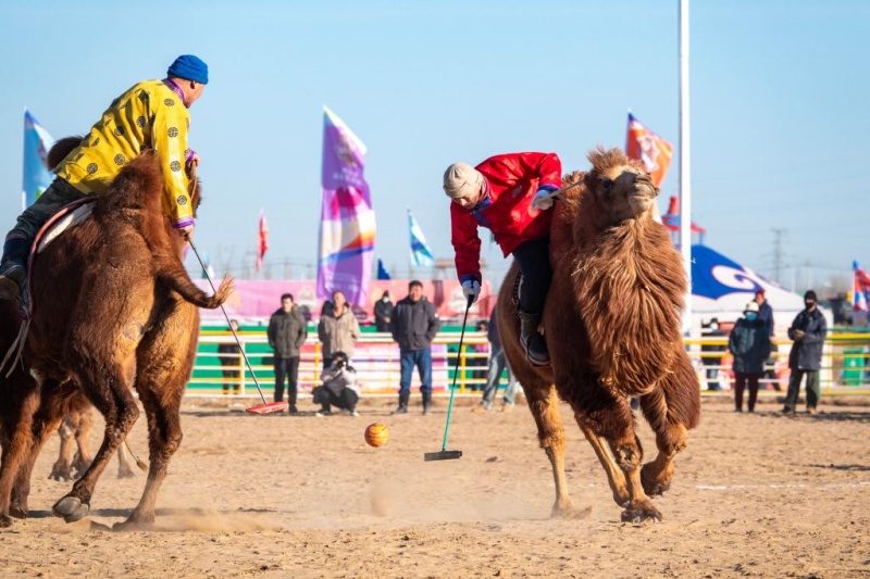 12.31 2025阿拉善骆驼超级联赛：上演沙海中的速度与激情8.jpg