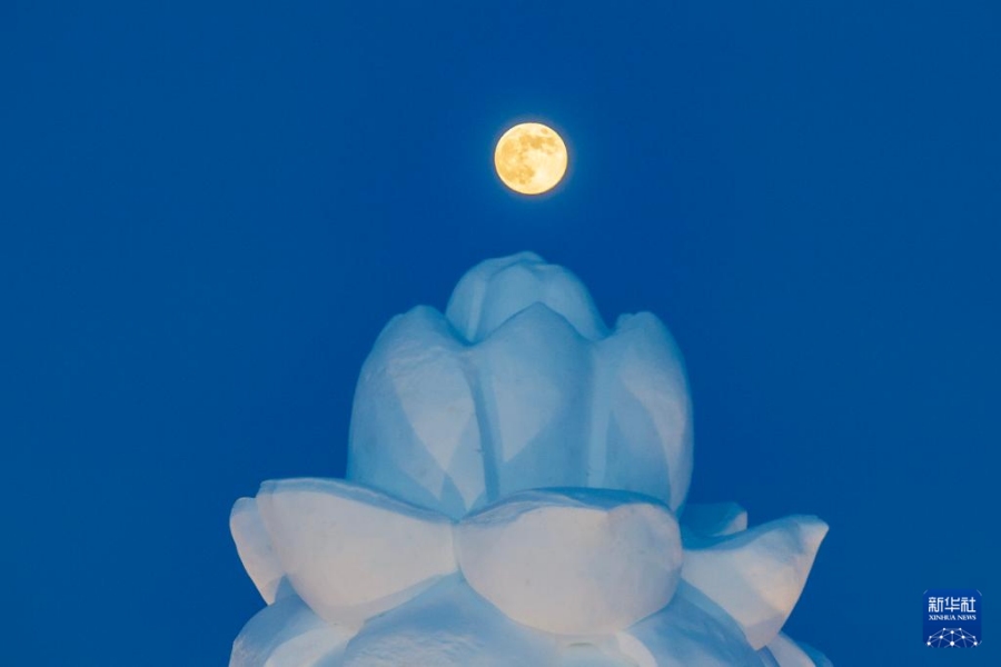 1.5抬头看!2026年首个“超级月亮”现身夜空3.jpg
