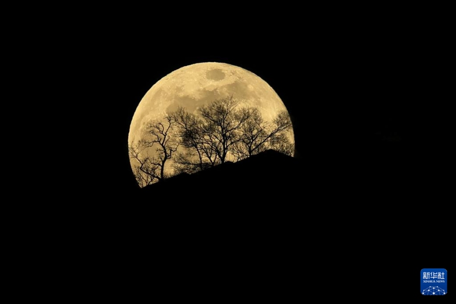1.5抬头看!2026年首个“超级月亮”现身夜空5.jpg