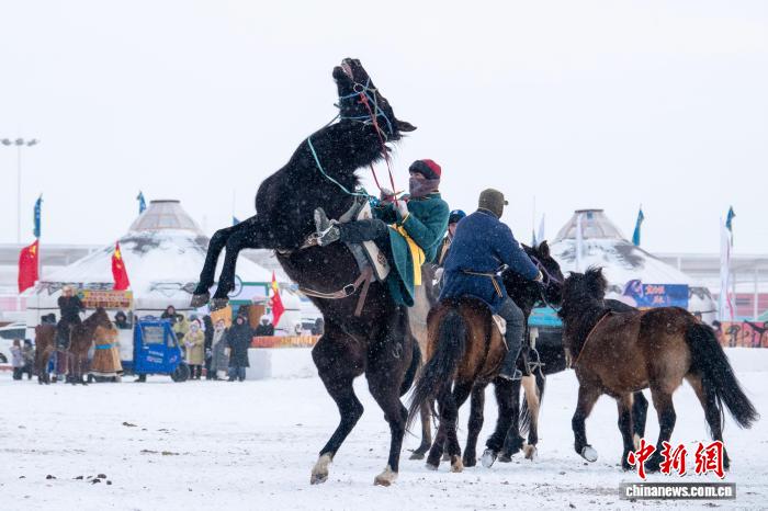 2.3驭雪奔腾赴新春! “辽阔草原·锡林郭勒”冬季“马超”总决赛开赛7.jpg
