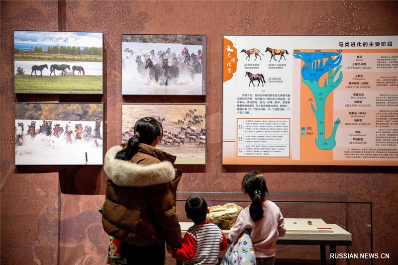 2.9内蒙古博物院迎马年盛典:探寻马文化的魅力与传承3.jpg