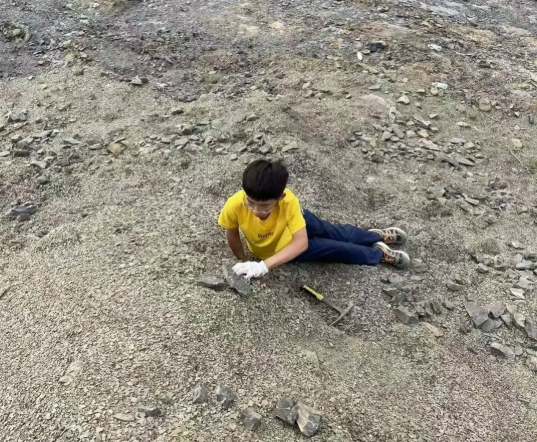 2.13 12岁小学生意外发现侏罗纪两栖动物足迹3.png