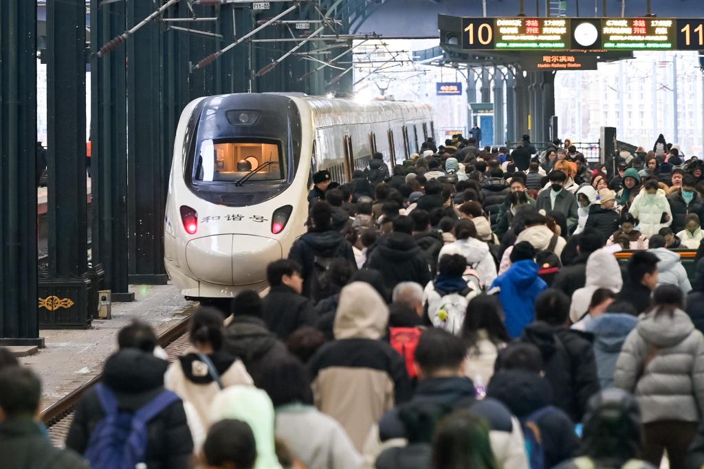 2.26春节假期全国铁路累计发送旅客1.21亿人次4.jpg