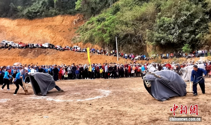 2.26广西蚂拐节，一场与土地的古老对话5.jpg