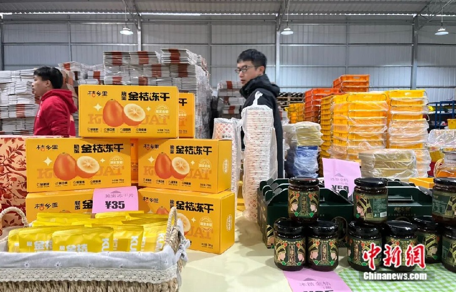 3.3金桔——中国钟安县的名片7.jpg