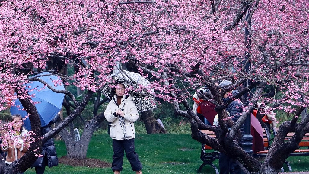 3.9掘金“花”经济！“赏花+”拓展多元文旅消费1.png