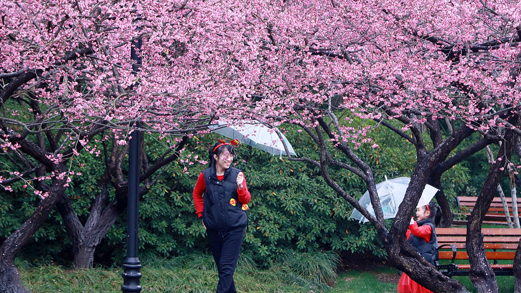 3.9掘金“花”经济！“赏花+”拓展多元文旅消费2.png
