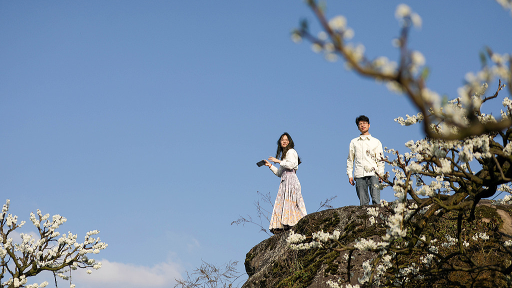 3.9掘金“花”经济！“赏花+”拓展多元文旅消费4.png