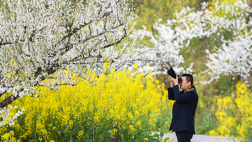 3.9掘金“花”经济！“赏花+”拓展多元文旅消费3.png