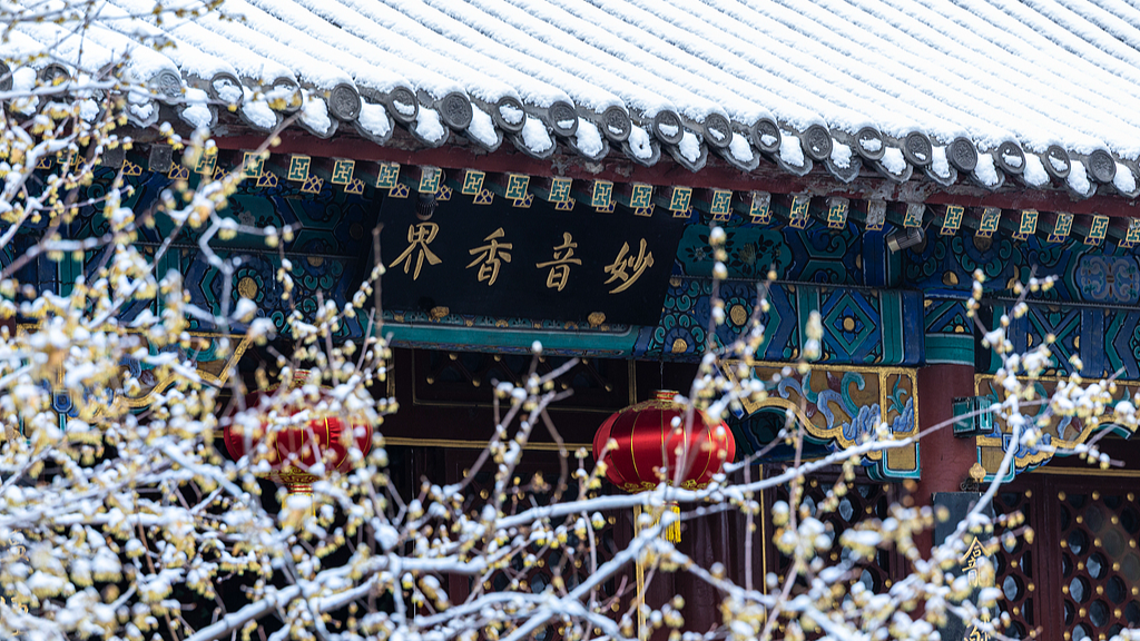 3.9掘金“花”经济！“赏花+”拓展多元文旅消费10.png