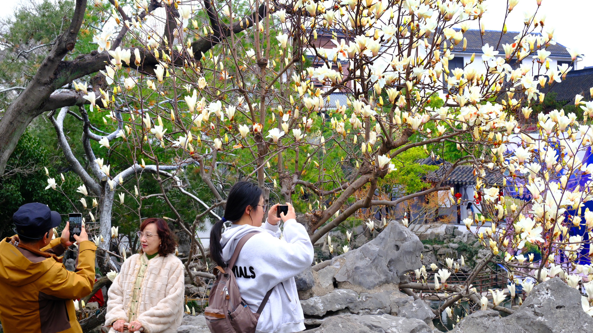 3.9掘金“花”经济！“赏花+”拓展多元文旅消费7.png
