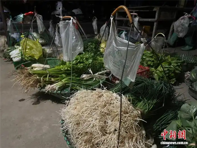 3.13广西南宁“无人菜摊”：付钱全凭自觉 诚信比菜更“鲜”2.jpg