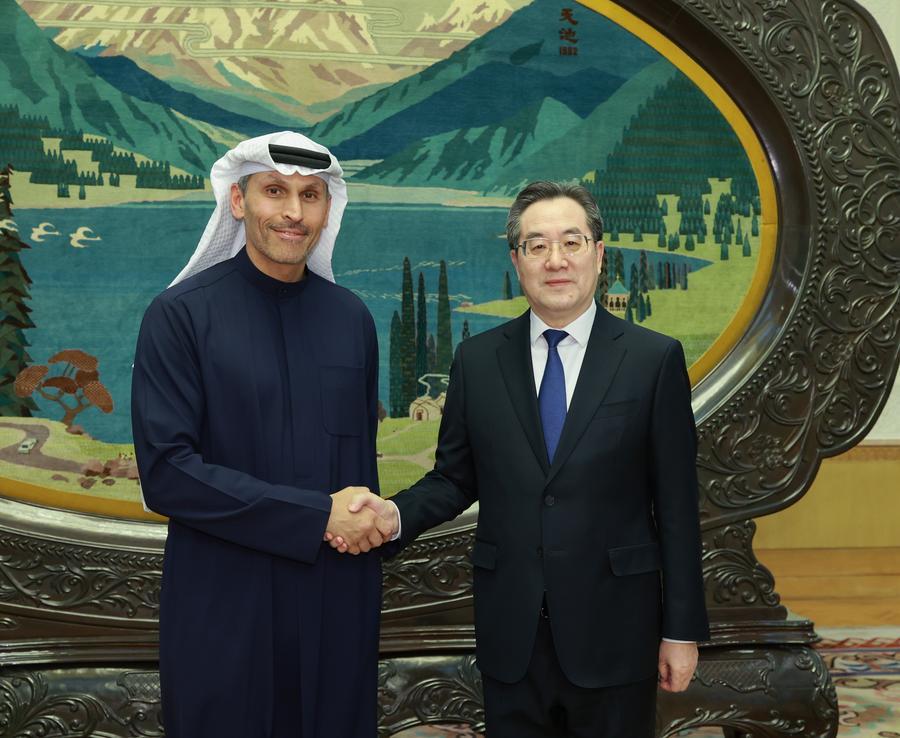 3.20丁薛祥会见阿联酋总统中国事务特使.jpg