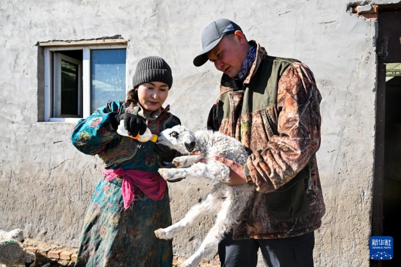 3.20草原牧民喜接春羔3.jpg