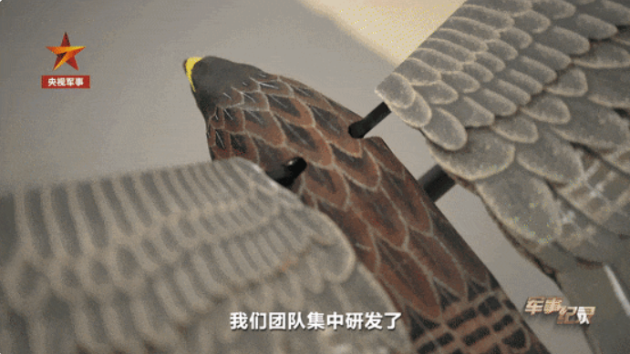 3.20中国无人机开启仿生新时代1.png