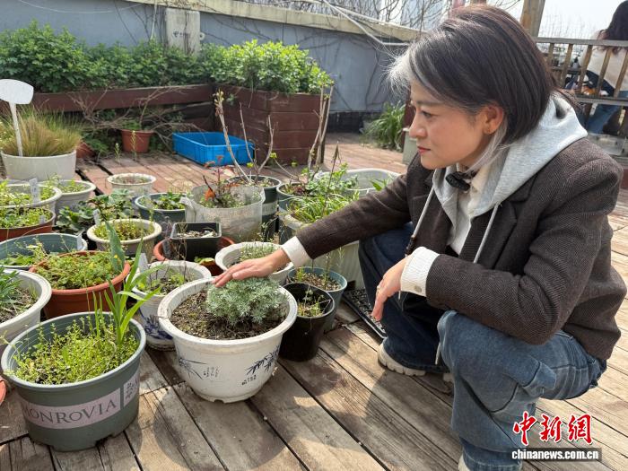 3.27高校屋顶花园：压力山大的大学生的“秘密花园”与植物疗愈1.jpg
