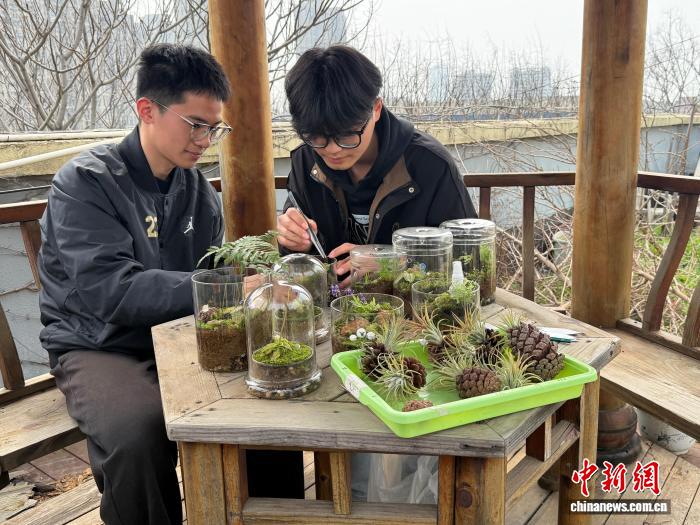 3.27高校屋顶花园：压力山大的大学生的“秘密花园”与植物疗愈3.jpg
