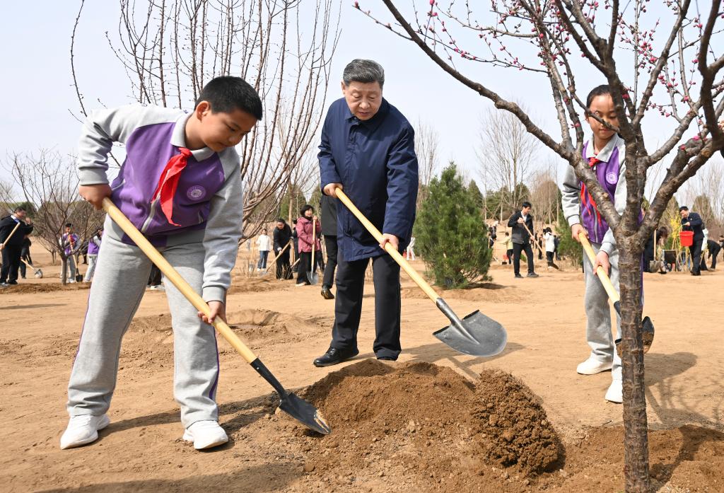 4.2习近平呼吁动员全社会积极参与造林工作3.jpeg