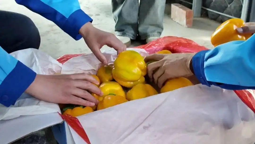 4.13博州：12小时直达阿拉木图，这速度够“鲜”2.jpg
