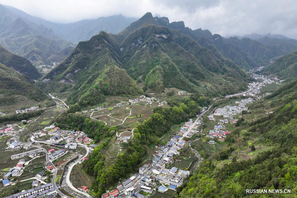 4.27巴山:美丽春日画卷6.jpg