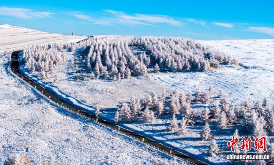 10.22一半金黄一半雪白,秋日雾凇上线!4.jpg