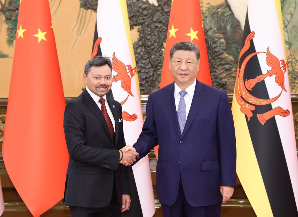 5.13习近平会见文莱王储比拉1.jpeg