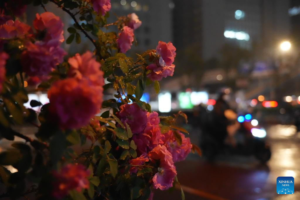5.18多地强降雨持续 各地各部门积极应对.jpeg