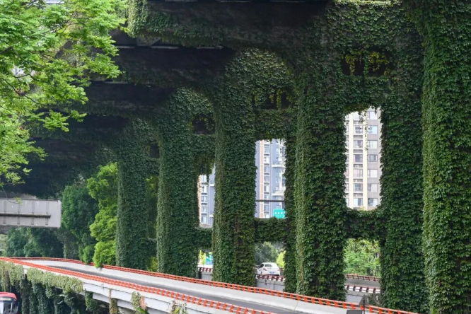 5.20绿化景观正成为中国城市的新名片4.png