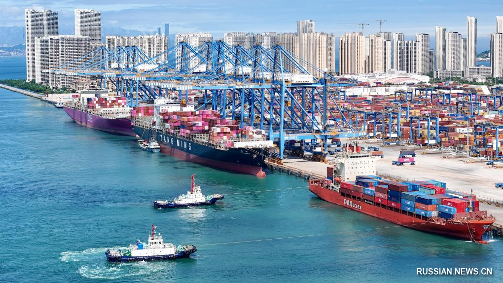 6.4山东港口青岛港前4个月货物吞吐量超2.5亿吨3.jpg