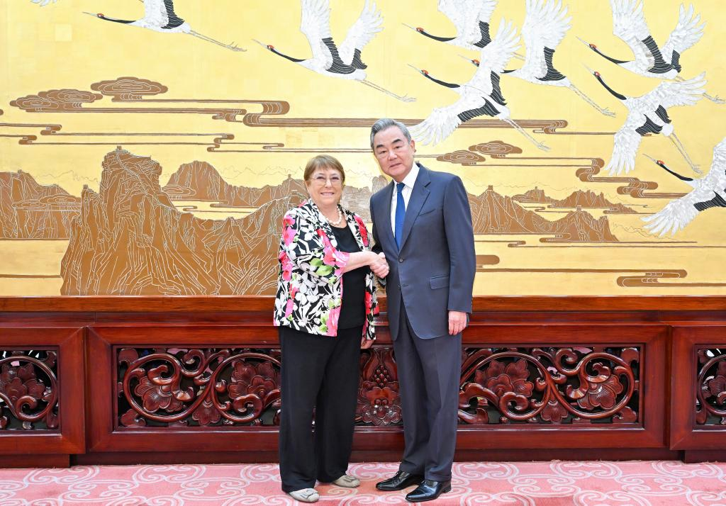 6.5王毅会见下任联合国秘书长候选人 共议联合国未来方向1.jpeg