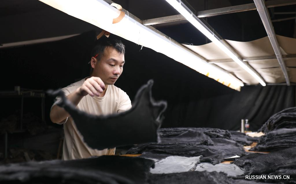 6.8河北枣强:打造“大营皮草”特色名片6.jpg