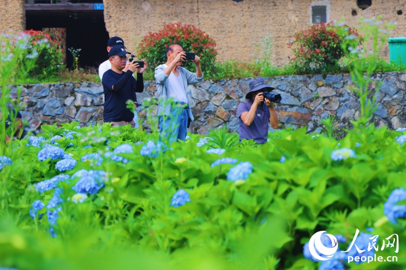 6.9在闽侯绣山花谷,遇见“蓝色”的夏天10.jpg