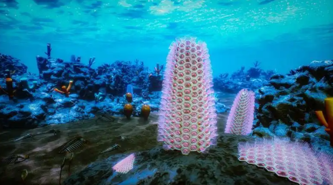 6.9重大发现!苔藓动物门起源提前至少5000万年.png